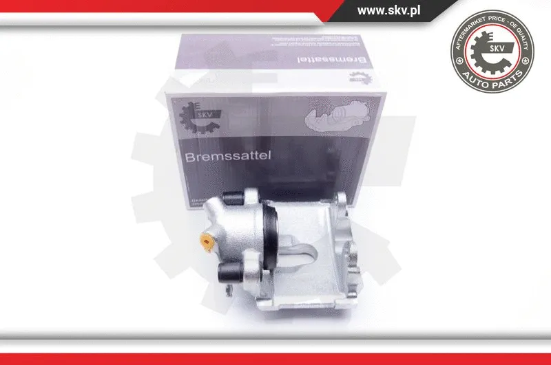 Brake Caliper (34SKV042)