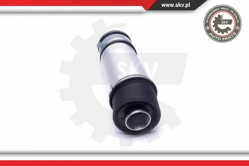 Air Suspension Strut