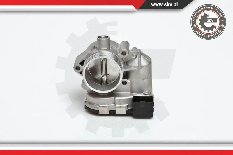 Throttle Body