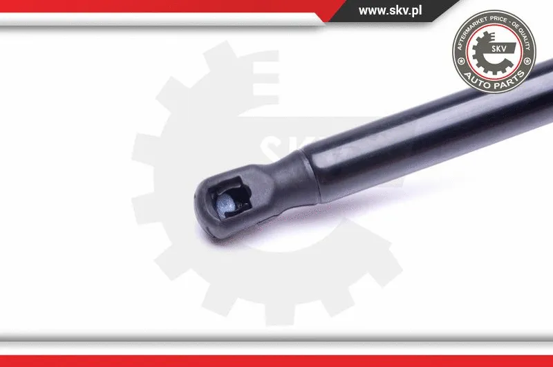 Gas Spring, boot/cargo area