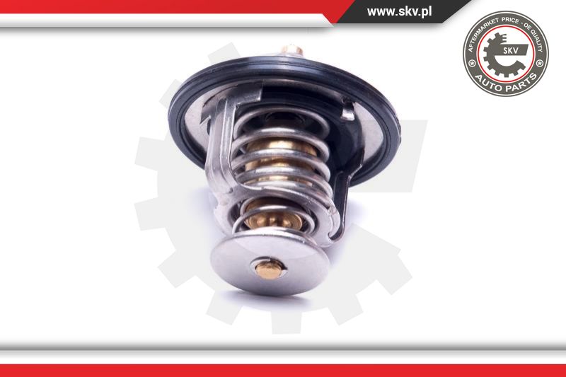 Thermostat, coolant