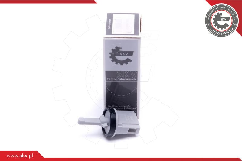 Sensor, interior temperature (17SKV698)