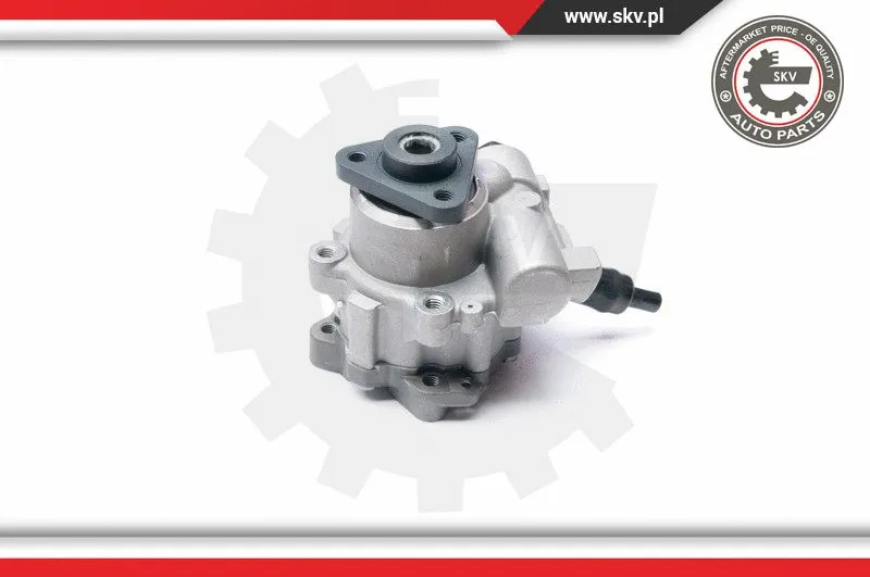 Hydraulic Pump, steering (10SKV233)