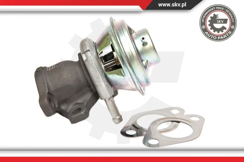 EGR Valve