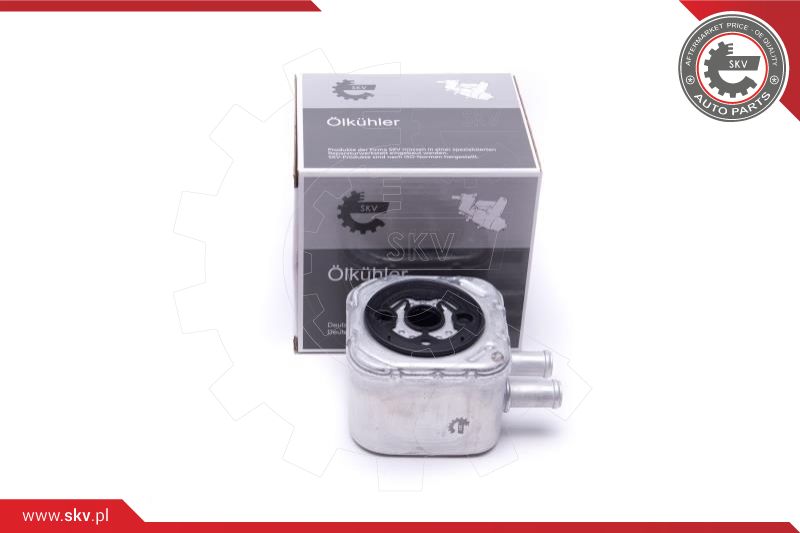 Oil Cooler, engine oil (31SKV205)