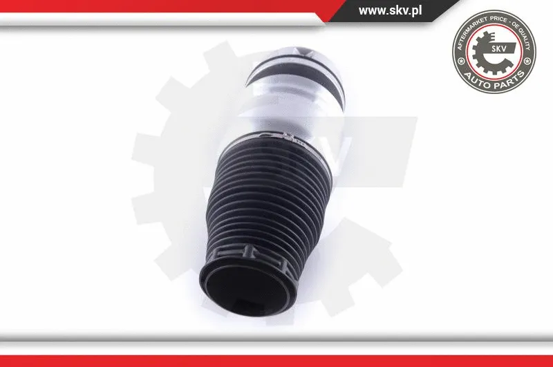 Air Spring, suspension