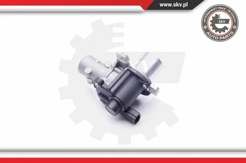 EGR Valve