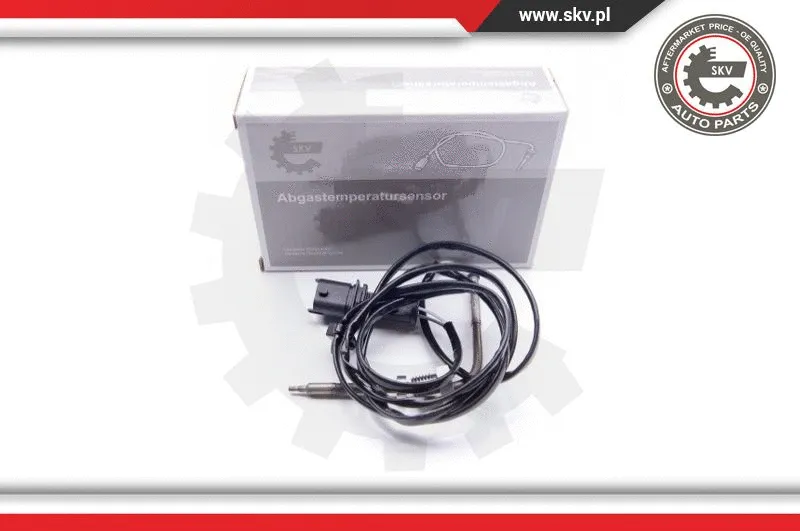 Sensor, exhaust gas temperature (30SKV032)