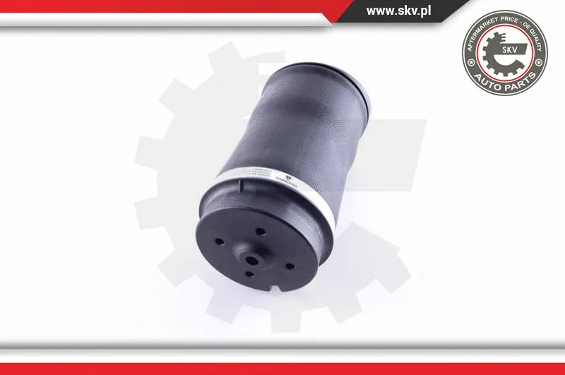 Air Spring, suspension