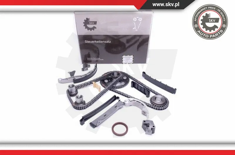 Timing Chain Kit (21SKV203)