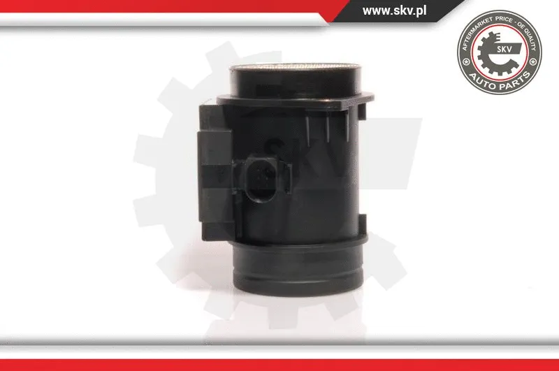 Mass Air Flow Sensor