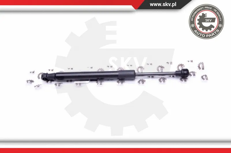 Gas Spring, boot/cargo area