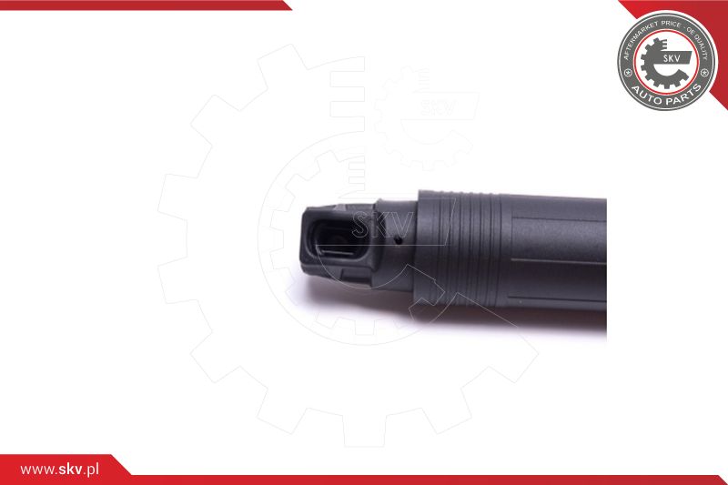 Electric Motor, tailgate