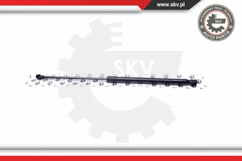Gas Spring, boot/cargo area