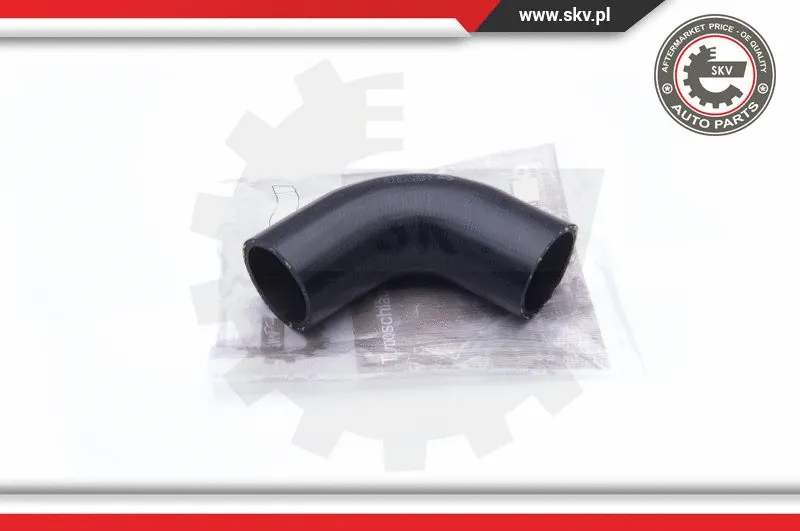 Charge Air Hose (24SKV875)