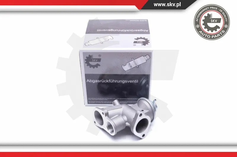EGR Valve