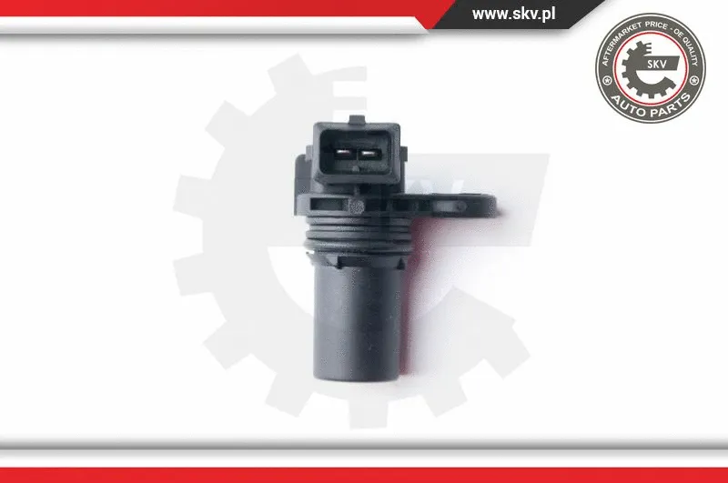Sensor, camshaft position (17SKV259)