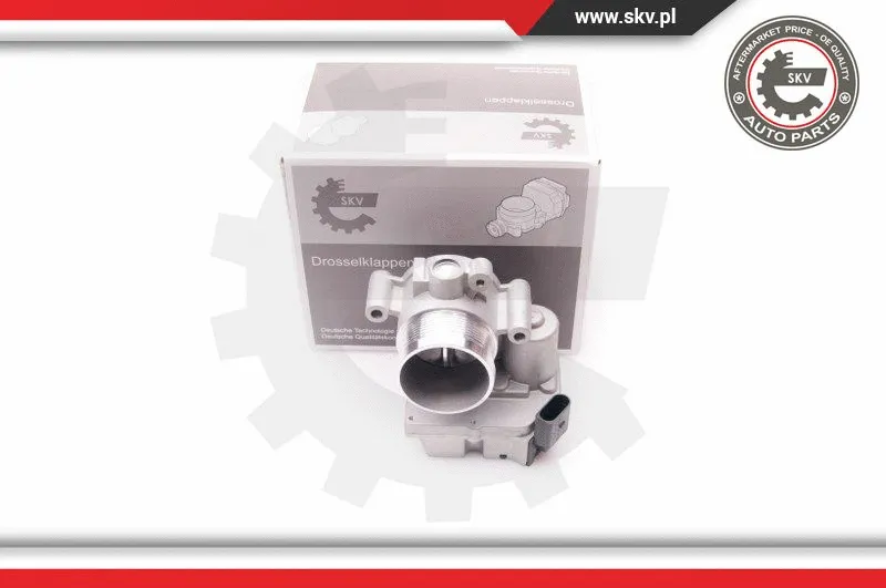 Throttle Body (12SKV063)