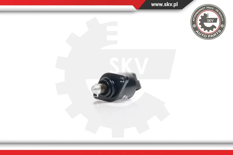 Idle Control Valve, air supply (08SKV029)