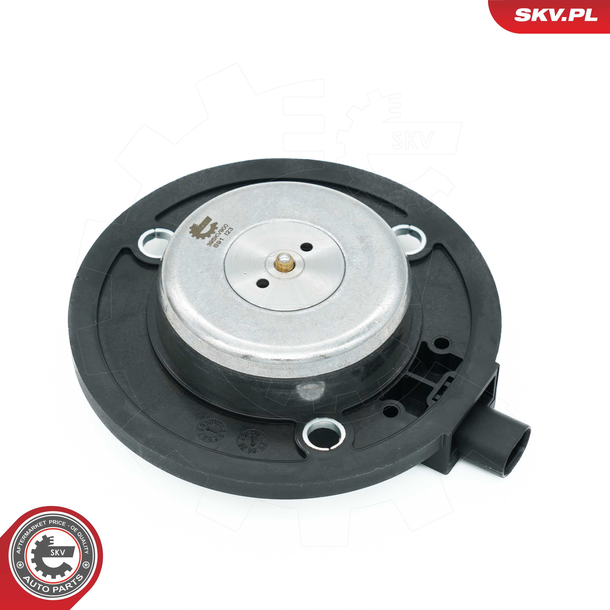 Central Magnet, camshaft adjustment