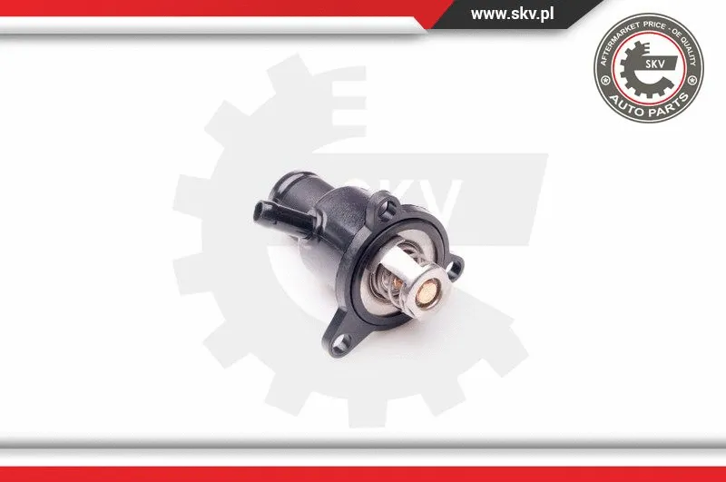Thermostat, coolant