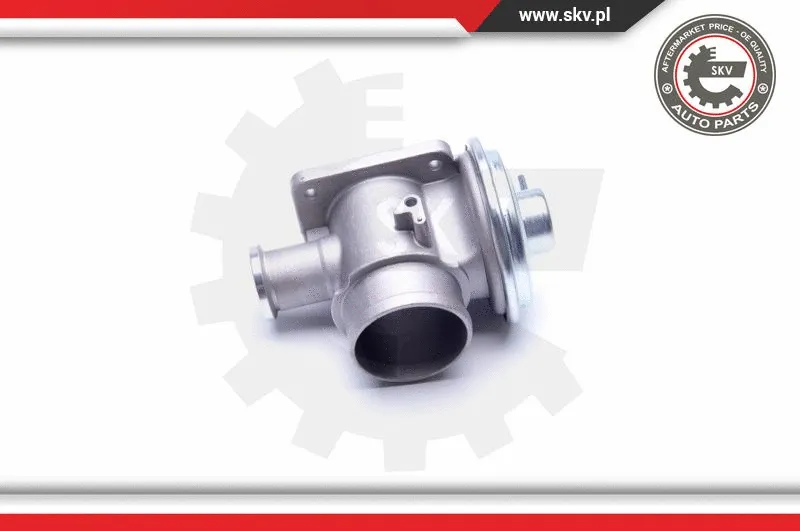 EGR Valve (14SKV179)