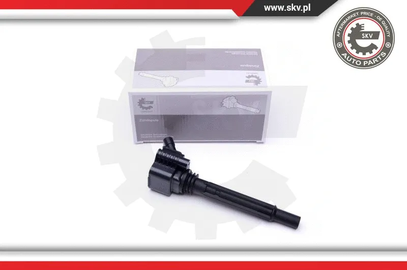 Ignition Coil (03SKV281)