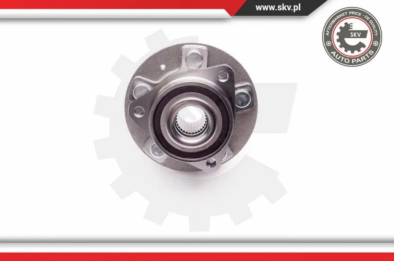 Wheel Bearing Kit