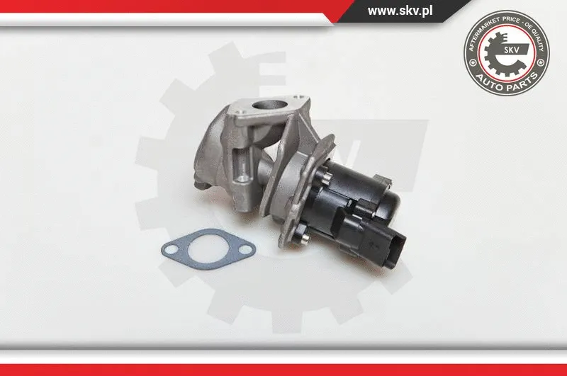 EGR Valve