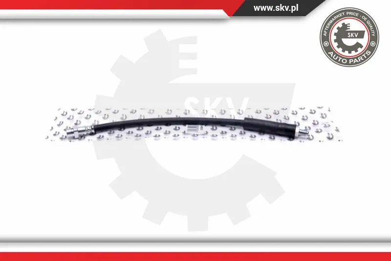 Brake Hose (35SKV256)