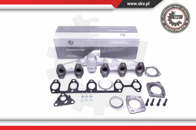 Manifold, exhaust system (49SKV049)