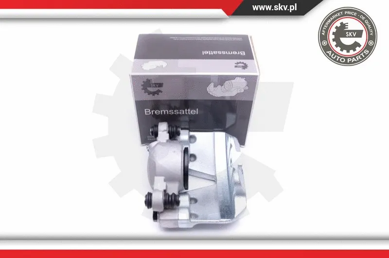 Brake Caliper (46SKV251)