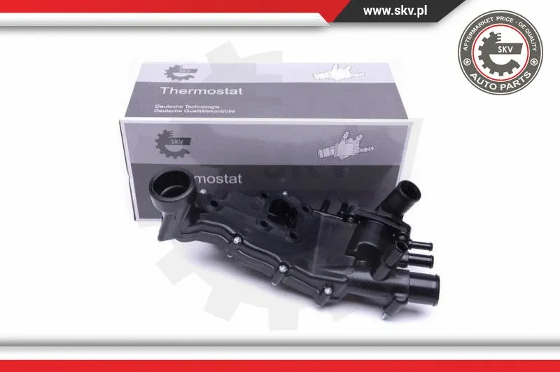 Thermostat, coolant (20SKV113)