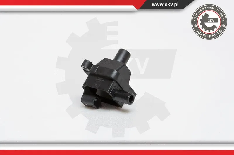 Ignition Coil (03SKV057)