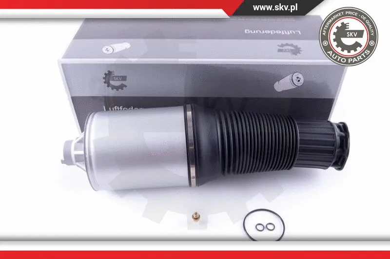 Air Spring, suspension (58SKV034)