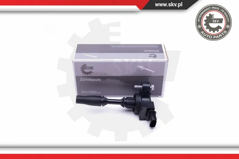 Ignition Coil (03SKV295)