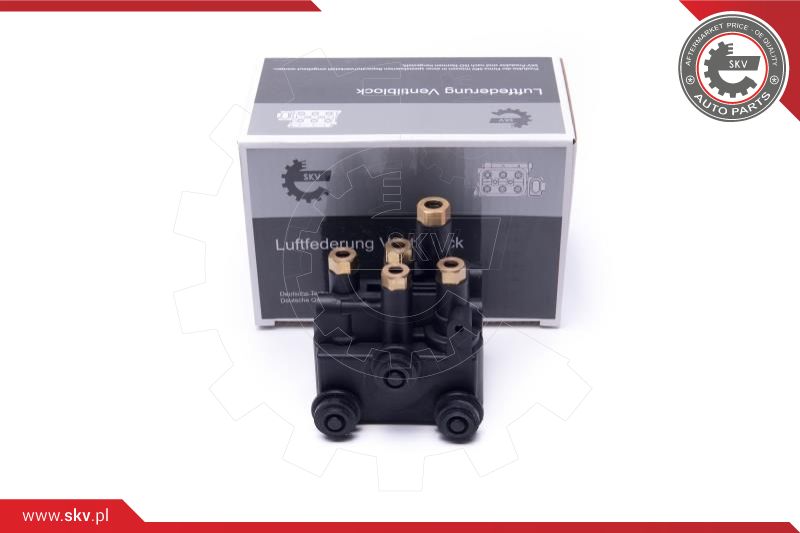 Valve, compressed-air system (93SKV815)