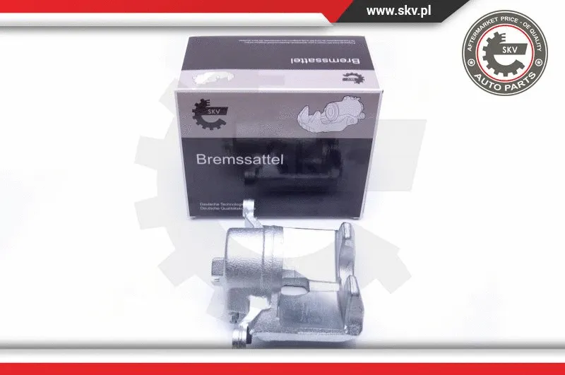 Brake Caliper (42SKV202)