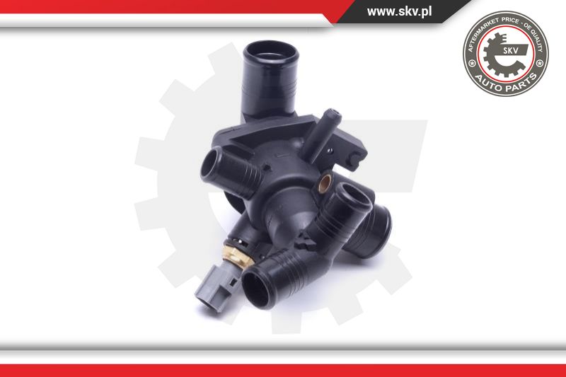 Thermostat, coolant