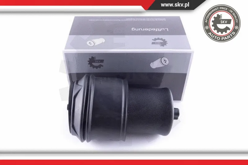 Air Spring, suspension (58SKV022)
