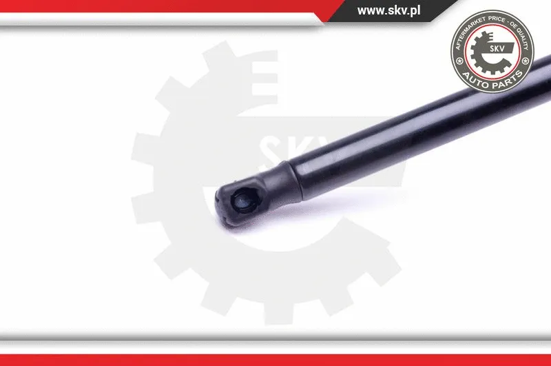 Gas Spring, boot/cargo area