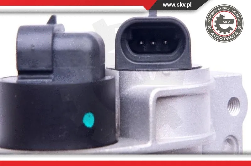 Throttle Body