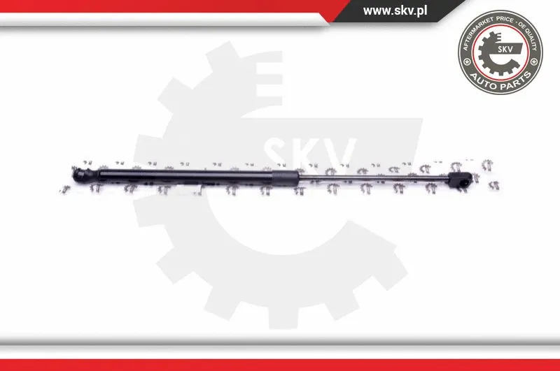 Gas Spring, boot/cargo area