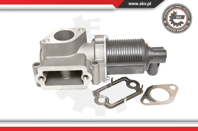 EGR Valve