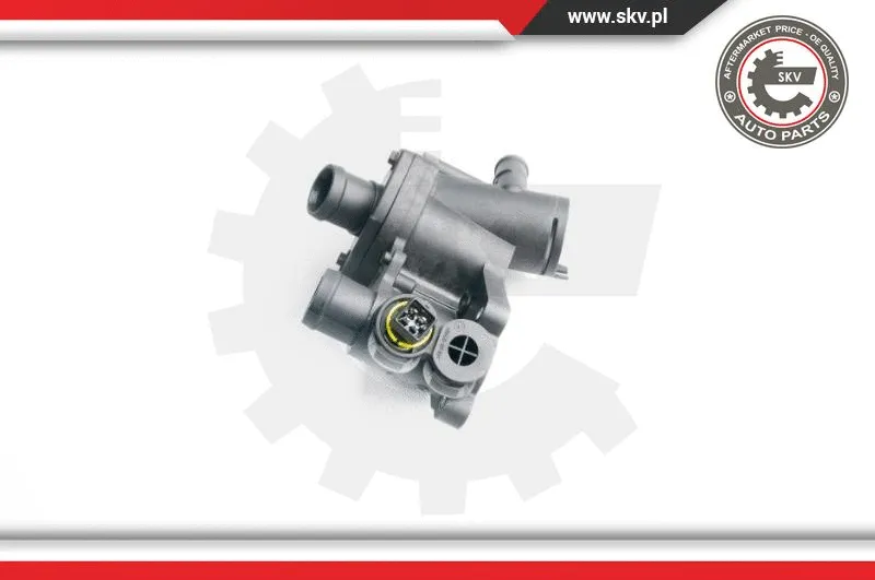 Thermostat, coolant