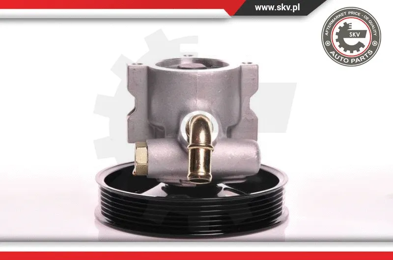 Hydraulic Pump, steering (10SKV142)