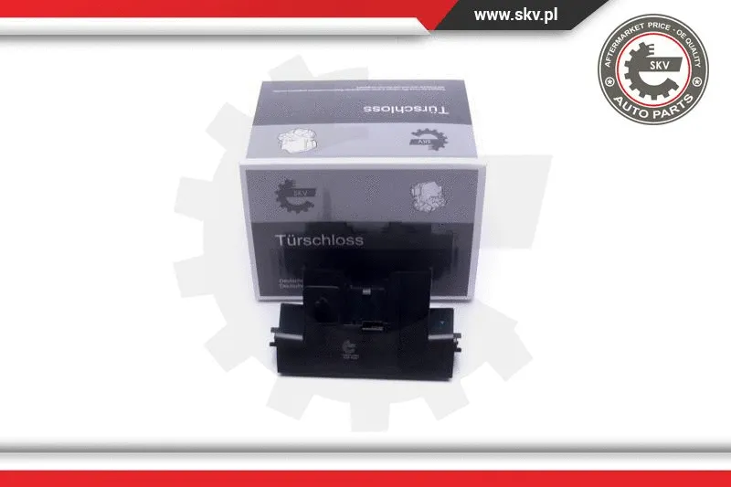 Exterior Door Handle (16SKV284)