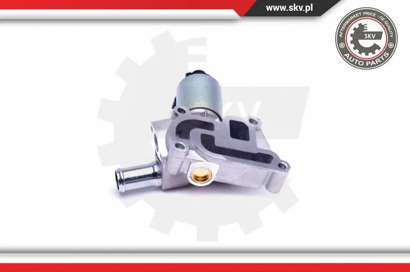 EGR Valve