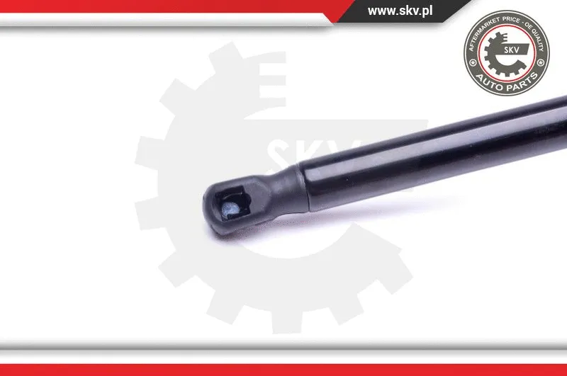 Gas Spring, boot/cargo area