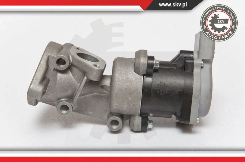 EGR Valve